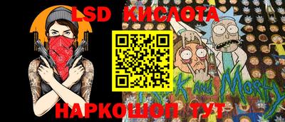 jwh Кингисепп