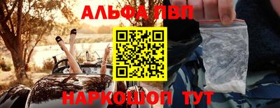 jwh Кингисепп