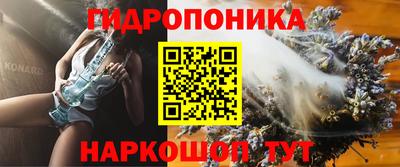 jwh Кингисепп