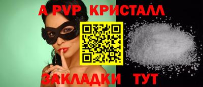 jwh Кингисепп