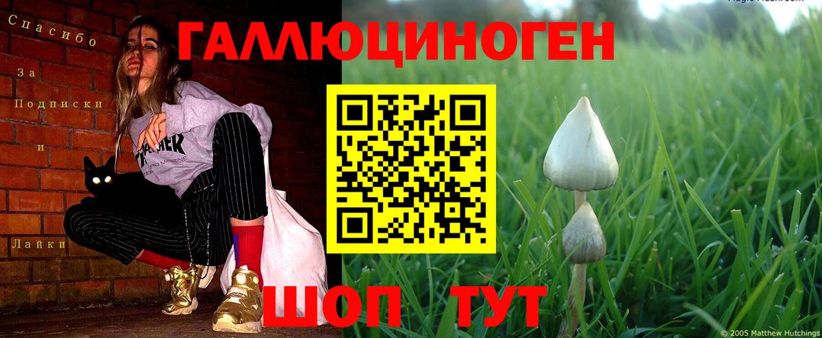 Галлюциногенные грибы Psilocybe  закладка  Галлюциногенные грибы Magic Shrooms  Лабытнанги  Вход с VPN 